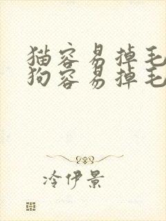 猫容易掉毛还是狗容易掉毛