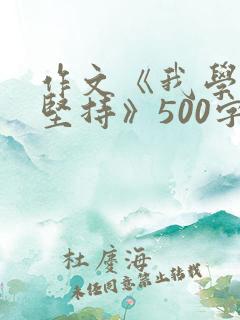 作文《我学会了坚持》500字