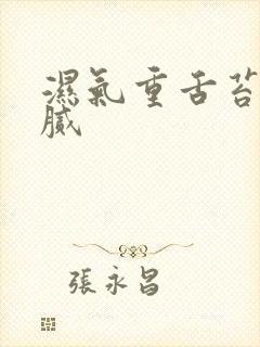 湿气重舌苔白厚腻