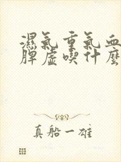 湿气重气血不足脾虚吃什么调理