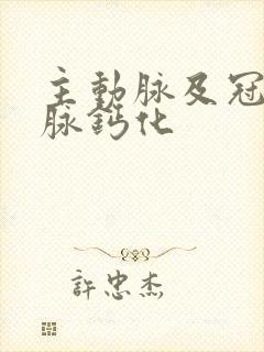 主动脉及冠状动脉钙化