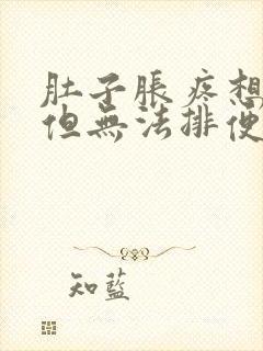 肚子胀疼想排便但无法排便