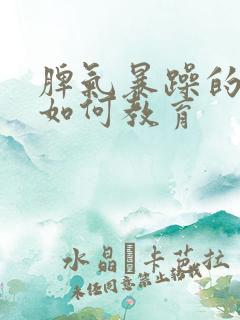 脾气暴躁的孩子如何教育