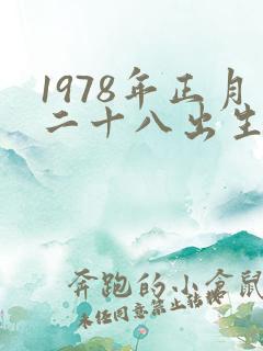 1978年正月二十八出生的人命运怎样