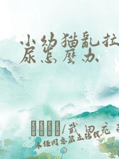 小幼猫乱拉屎拉尿怎么办