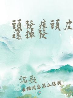 头发痒头皮屑多还掉发