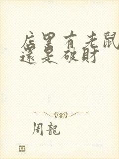 店里有老鼠招财还是破财