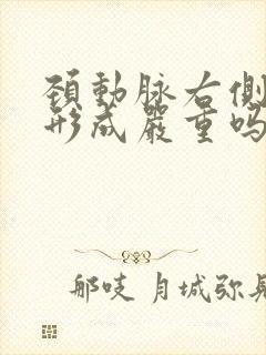 颈动脉右侧斑块形成严重吗