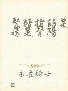 肾精指的是肾阴还是肾阳