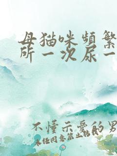 母猫咪频繁上厕所一次尿一点咋回事