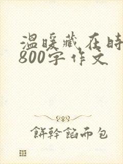 温暖藏在时光里800字作文