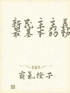 新民主主义革命最基本的动力是什么