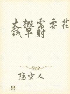 大概需要花多少钱早射