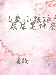 5岁小孩睡觉时尿床是什么原因