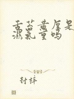 舌苔黄厚是体内湿气重吗