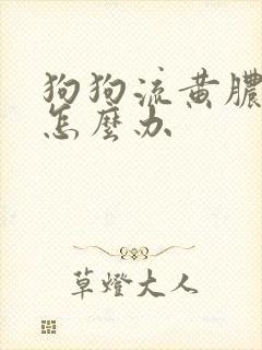 狗狗流黄脓鼻涕怎么办