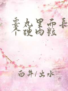 睾丸里面长了一个硬肉粒