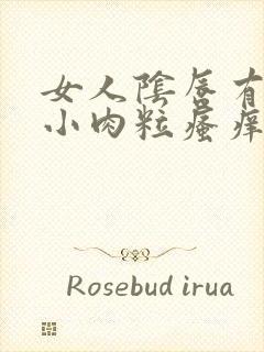 女人阴唇有许多小肉粒瘙痒