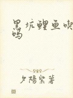 黑坑鲤鱼吃玉米吗