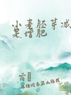 小麦胚芽减肥还是增肥