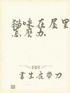 猫咪在屋里乱尿怎么办