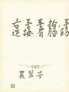 右手平抬,手臂连接肩膀的位置就痛