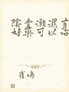 阴囊潮湿有什么好药可以治