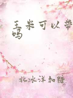 玉米可以带皮煮吗