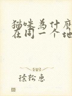 猫咪为什么反复在同一个地方尿