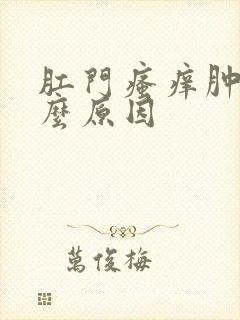 肛门瘙痒肿痛什么原因