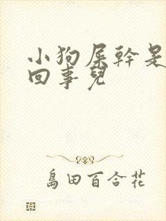 小狗屎干是怎么回事儿