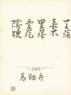 阴囊里长了个小硬疙瘩不痛不痒