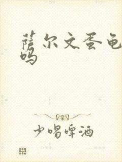 萨尔文蛋龟好养吗