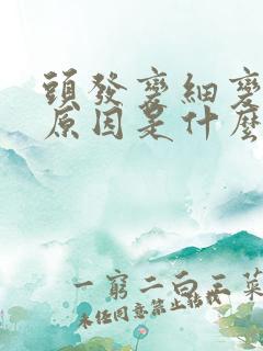 头发变细变软的原因是什么