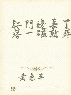 肛门边长了个疙瘩一碰就疼用什么药