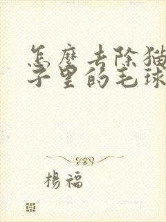 怎么去除猫咪肚子里的毛球