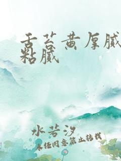 舌苔黄厚腻大便粘腻