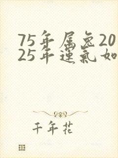 75年属兔2025年运气如何