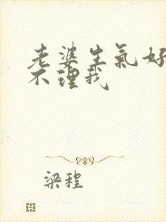 老婆生气好几天不理我