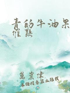 青的牛油果怎么催熟