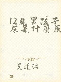 12岁男孩子尿床是什么原因