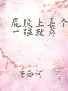 屁股上长个小包一碰就疼