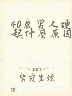 40岁男人硬不起什么原因引起的