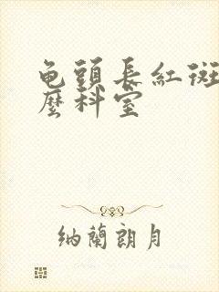 龟头长红斑挂什么科室