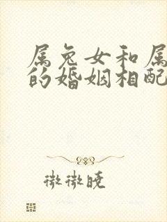 属兔女和属羊男的婚姻相配吗