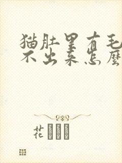 猫肚里有毛球吐不出来怎么办