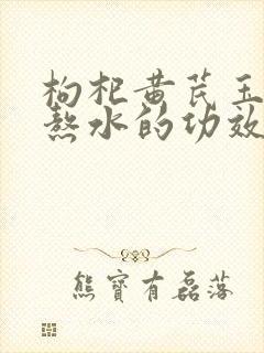 枸杞黄芪玉米须熬水的功效