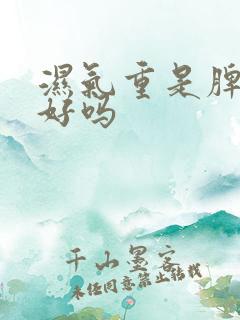 湿气重是脾胃不好吗