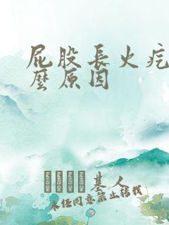 屁股长火疙瘩什么原因