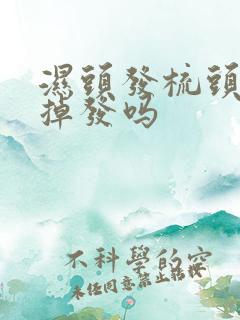 湿头发梳头容易掉发吗